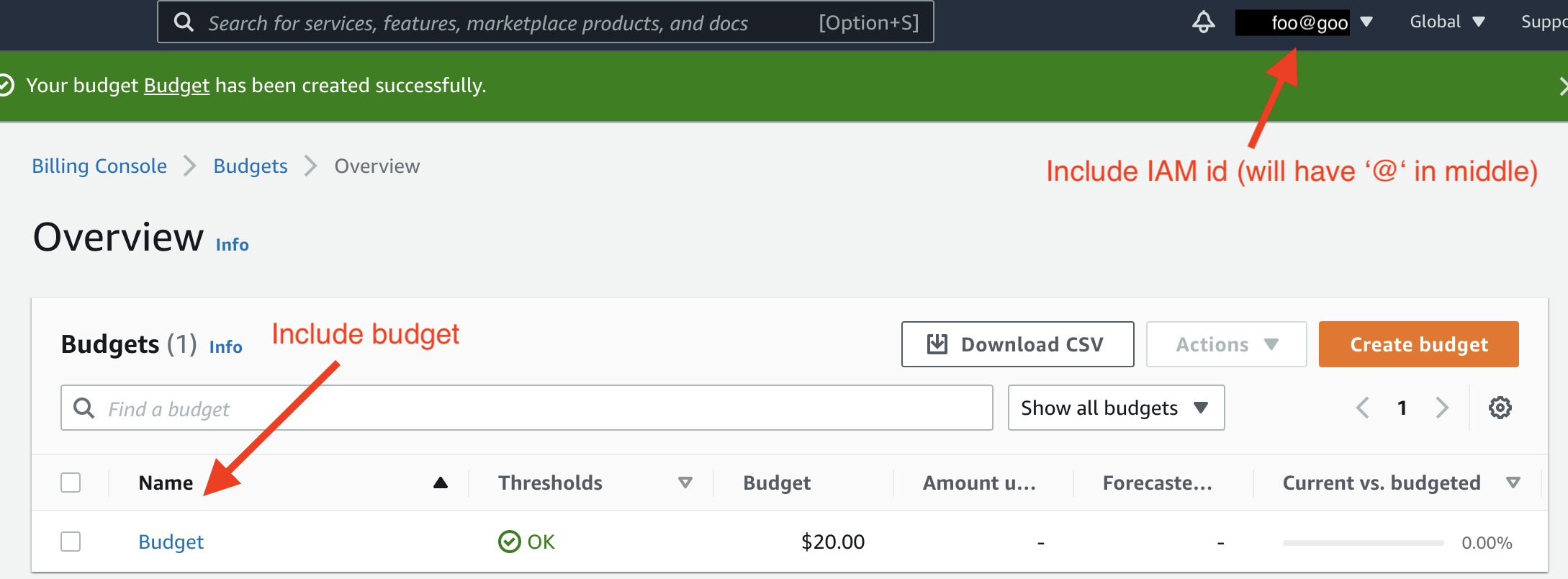 Screen shot of budget set for IAM administrative userid